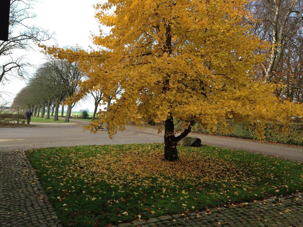 Wirketorp Countryside Hotel Kävlinge Extérieur photo