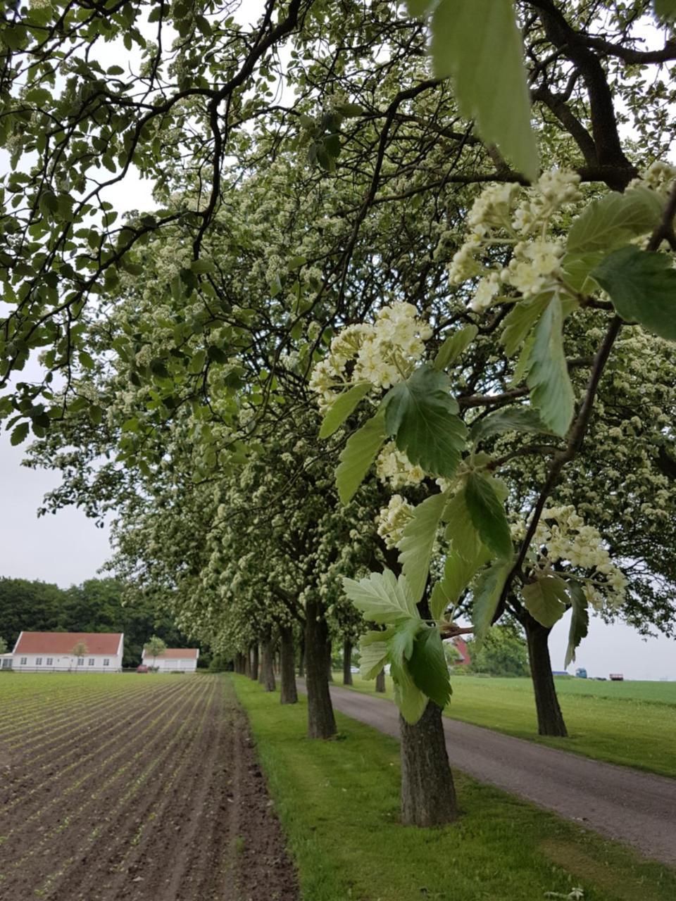 Wirketorp Countryside Hotel Kävlinge Extérieur photo